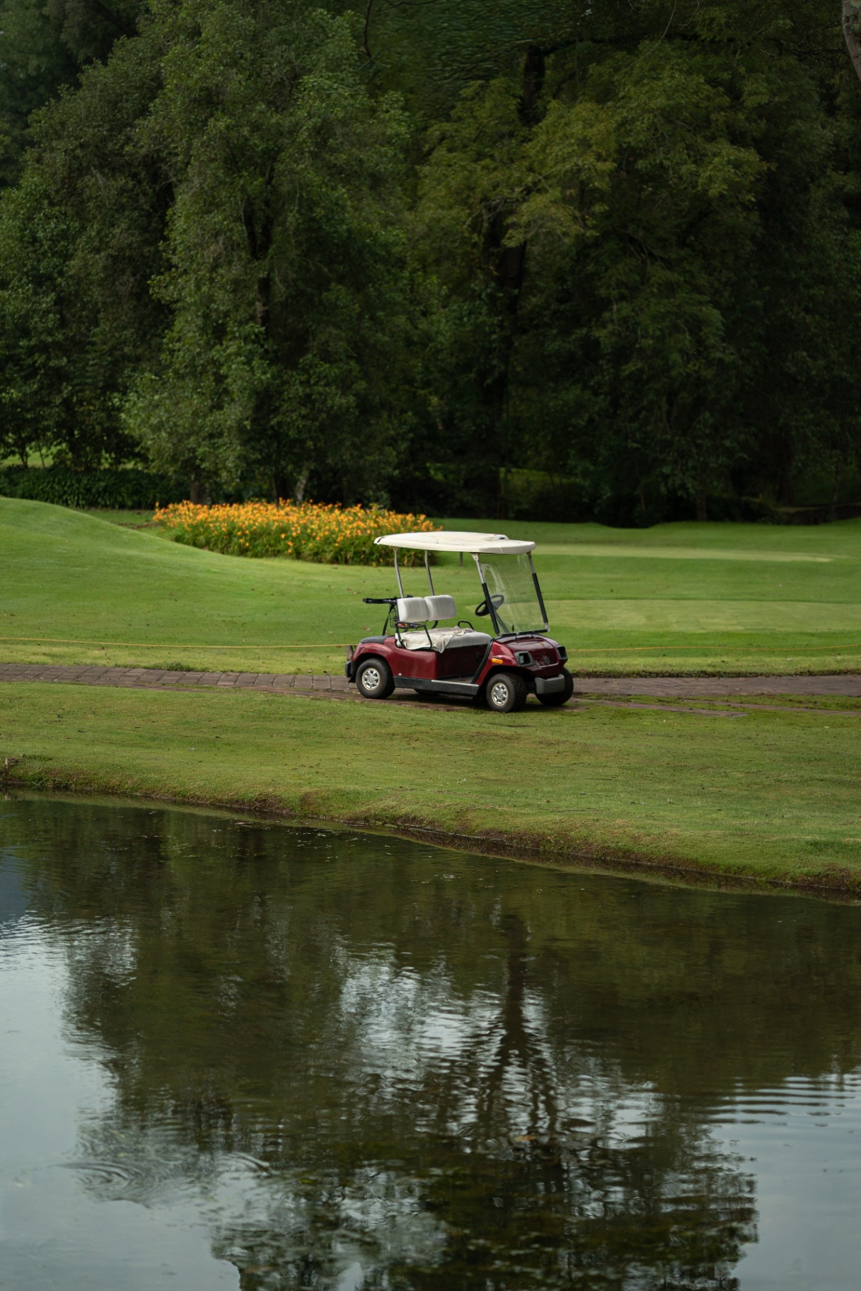Campo de Golf
